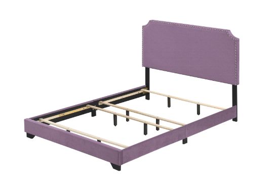 Acme Haemon Queen Bed Model 26750Q