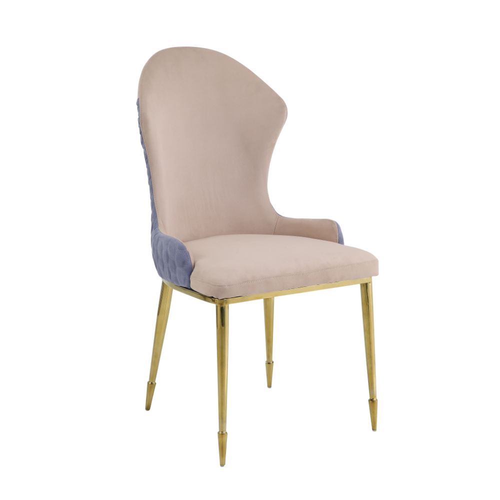 Acme Caolan Side Chair (Set-2) Model 72469