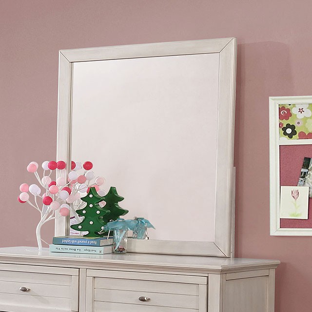 Furniture Of America Brogan Transitional Antique White Mirror Model CM7517WH-M