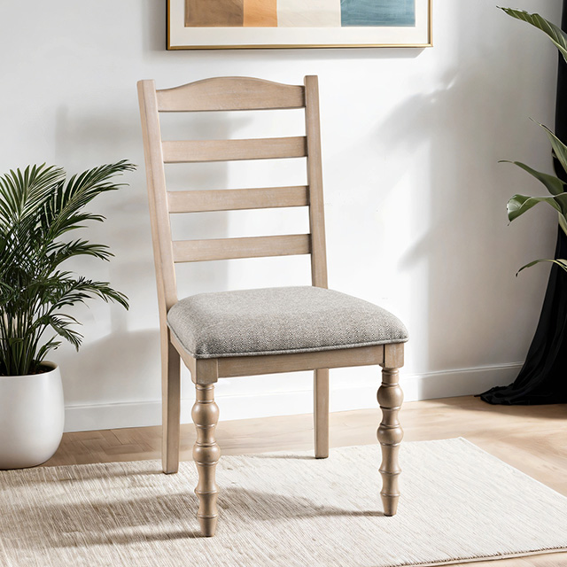 Furniture Of America Chesapeake Modern Farmhouse Light White Wash Side Chair Model FM39000AK-SC-2PK