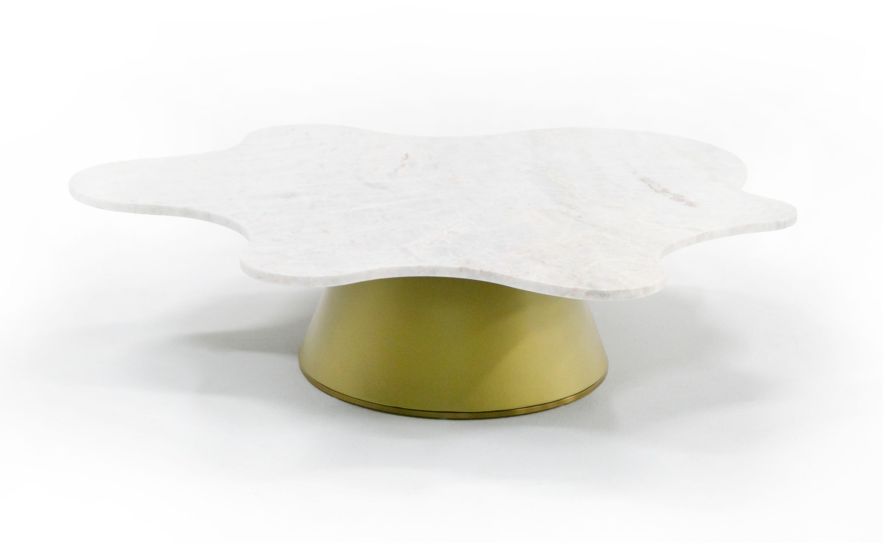 LA Furniture Gabbro Low Glam White Marble and Gold Coffee Table VGODLZ-220C-L Contemporary Style by Vig Furnitrue Number 76886 Catch Home Goods