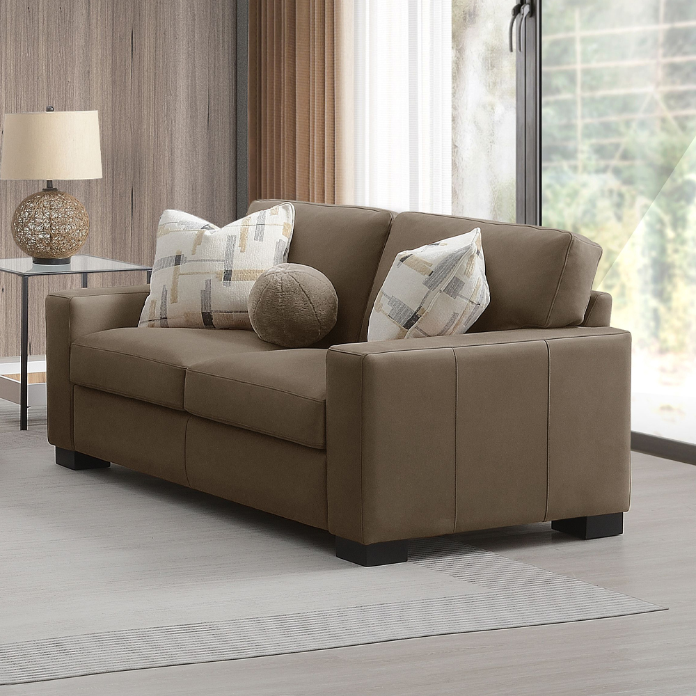 Acme Darya Loveseat with 3 Pillows Model LV04531